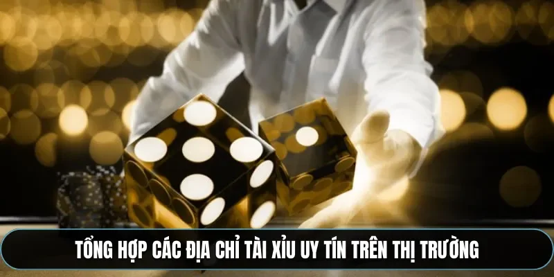 Tổng hợp c&aacute;c địa chỉ t&agrave;i xỉu uy t&iacute;n tr&ecirc;n thị trường